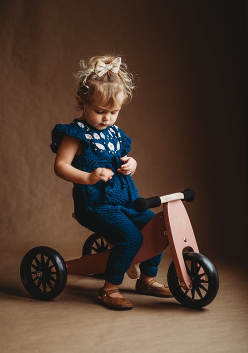 2 in 1 Tiny Tot Tricycle Balance Bike Romp at Home