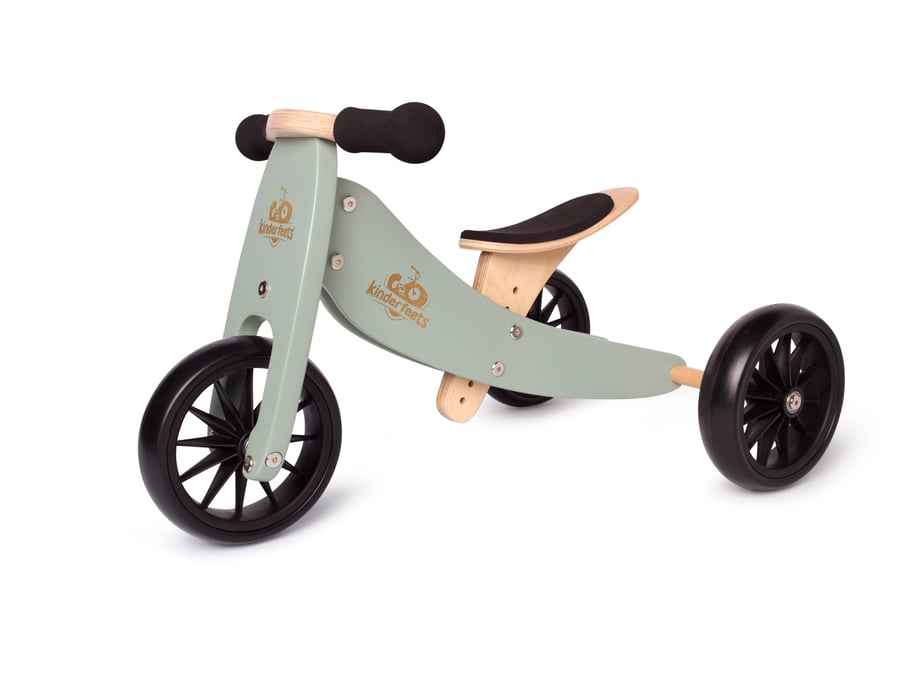 2 in 1 Tiny Tot Tricycle Balance Bike Romp at Home