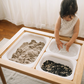 Land, Sand and Water Table