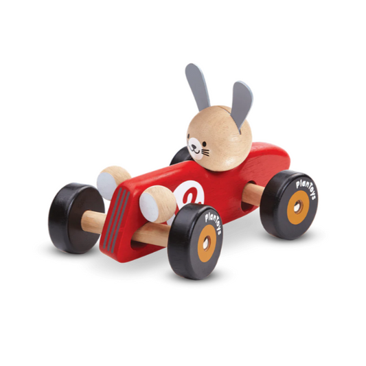 Rabbit Racing Car