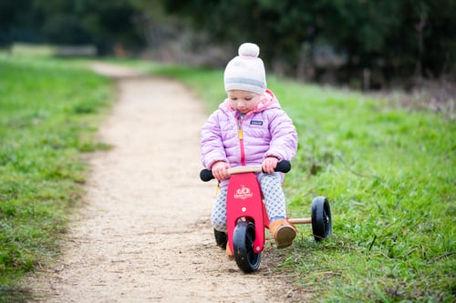 Tiny tot best sale balance bike